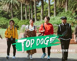 哔哩传媒《TOP DOG》免费在线观看