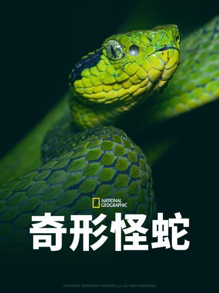 四色AV《奇形怪蛇》免费在线观看